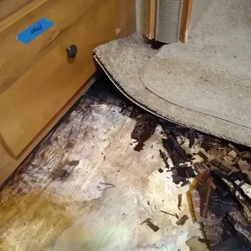 Wood Floor Water Damage in Guadalupe, AZ